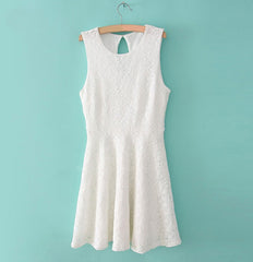 Elegant Solid Color Sleeveless Women's Lace Dress