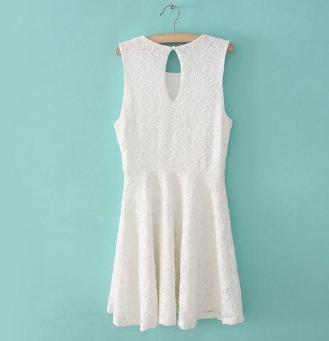 Elegant Solid Color Sleeveless Women's Lace Dress